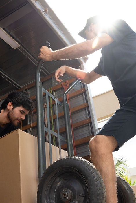 Fazendo mudança
